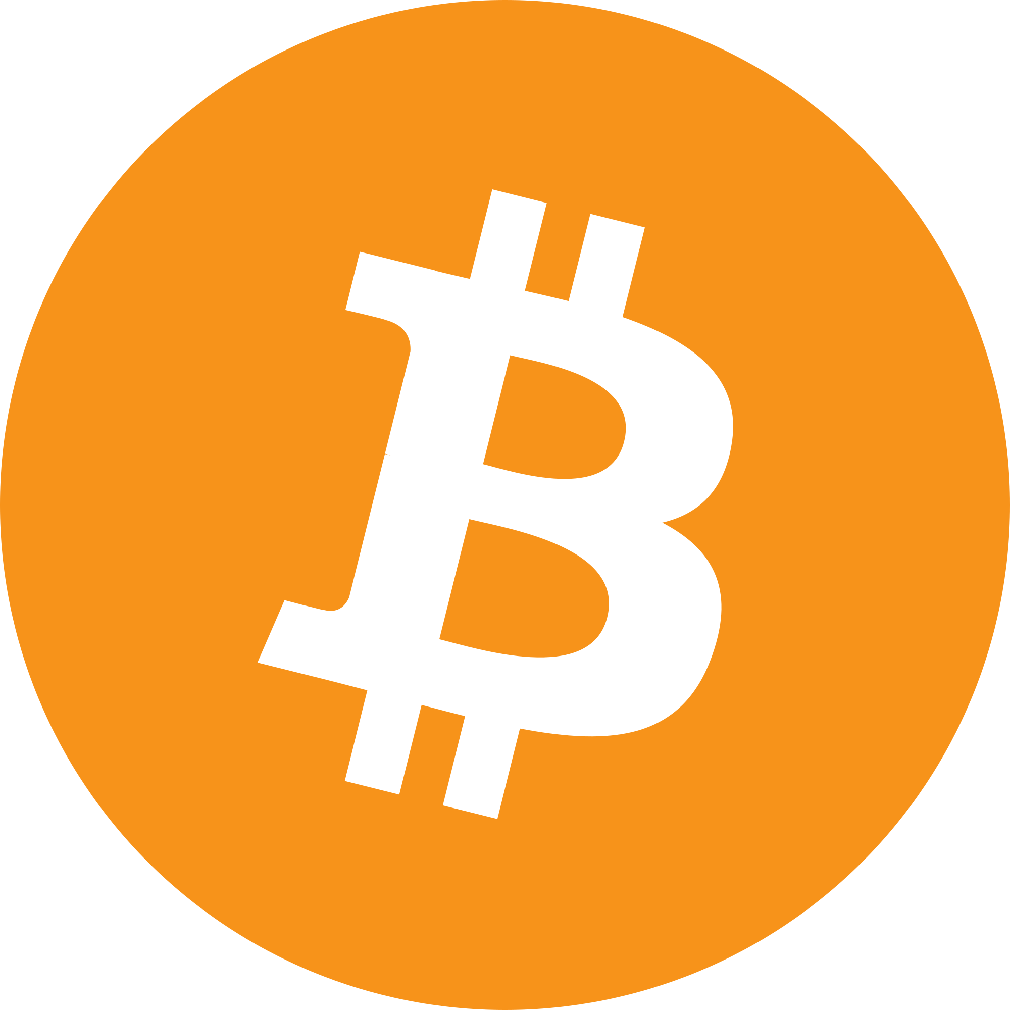 BitWealth Logo